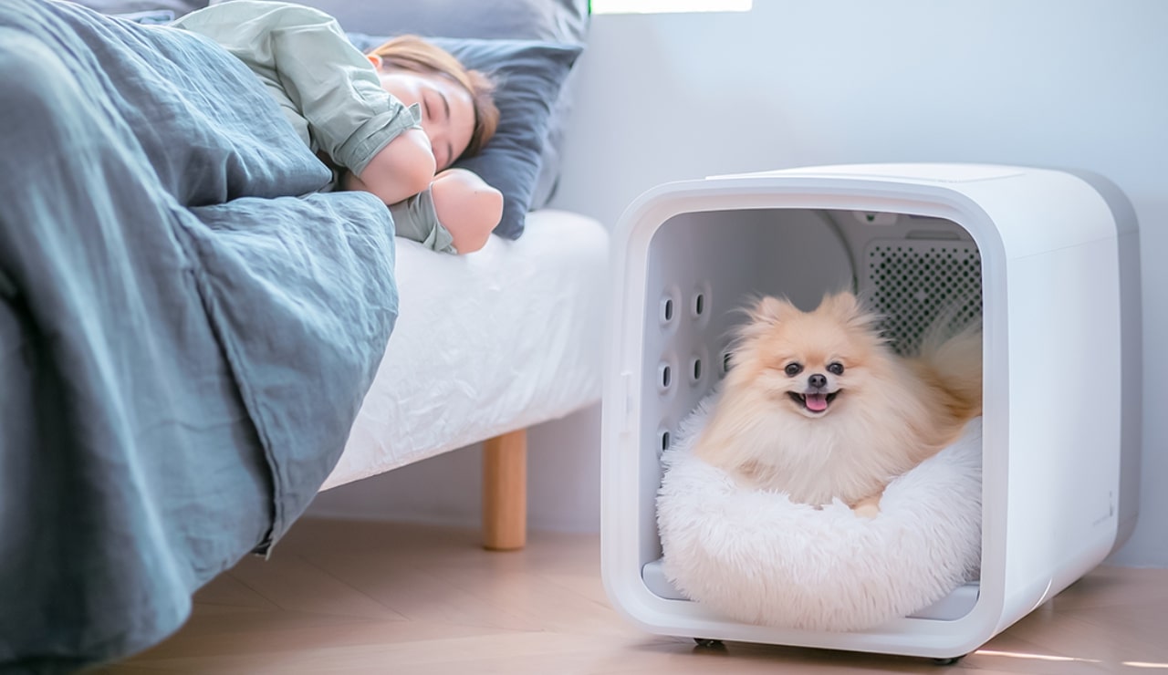 愛犬・愛猫がふわふわに！ペット用ドライルーム「nello」があれば、抜け毛の掃除も楽 | SKYWARD+ スカイワードプラス