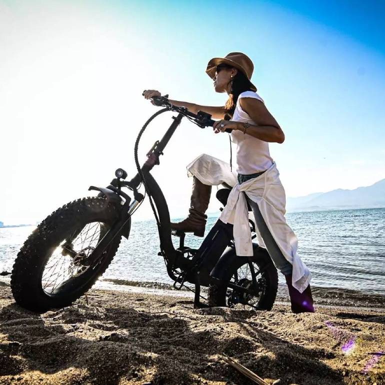限定価格 新品未使用 砂浜や雪道も走れる電動アシスト自転車