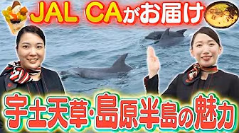 九州の食の宝庫!?宇土天草・島原半島の魅力をJAL客室乗務員が調査